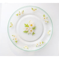 assiette-transparente-vintage