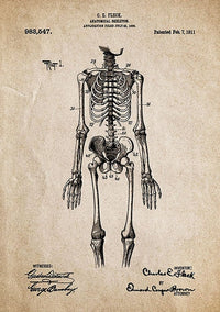 tableau-crane-anatomique-vintage