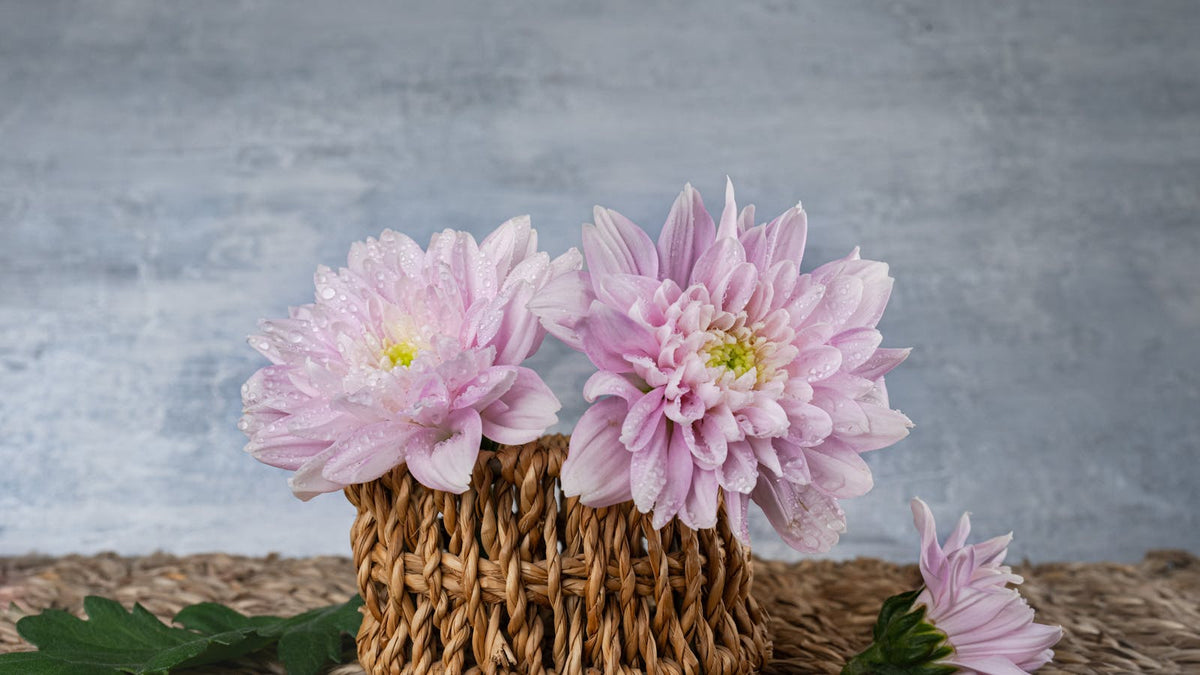 comment-faire-un-decor-champetre