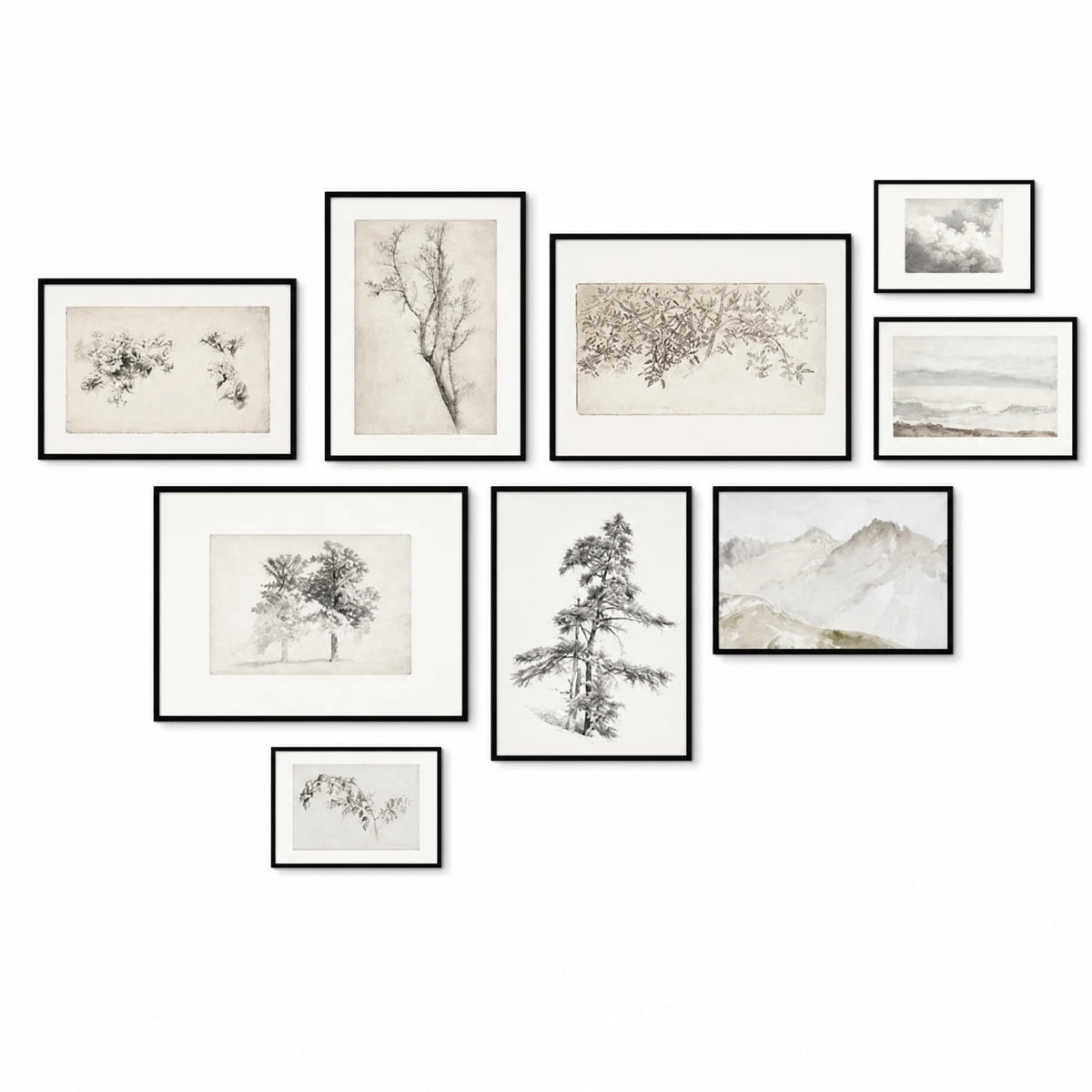 Affiche Botanique Aquarelle Nature Tons Neutres - image principale