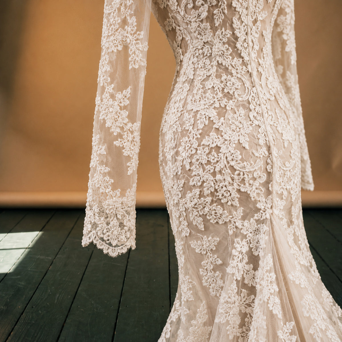 Gros plan sur la dentelle et les appliques de la robe de mariée vintage à encolure ronde Image