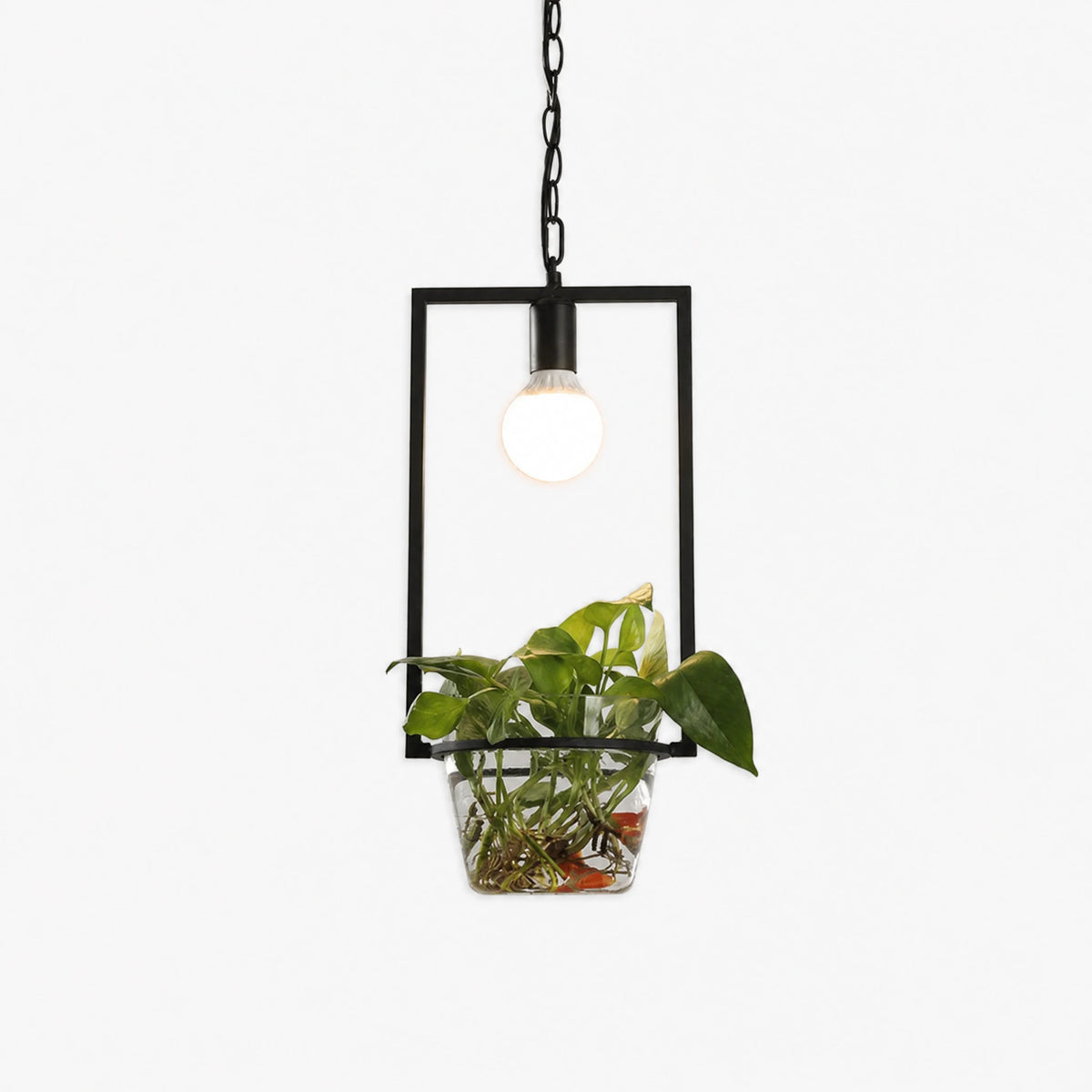Suspension Luminaire Végétale avec Support Plante Vintage - image principale