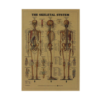 affiche-anatomie-humaine-vintage